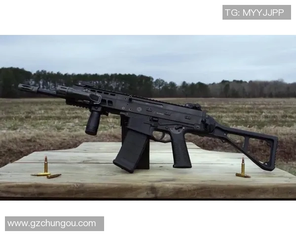 中国射击队全面升级主力枪械性能提升三成目标直指世界冠军再冲奥